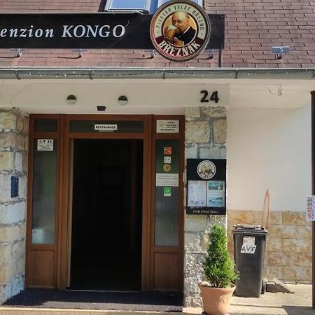 Penzion Kongo Telnice Exterior foto
