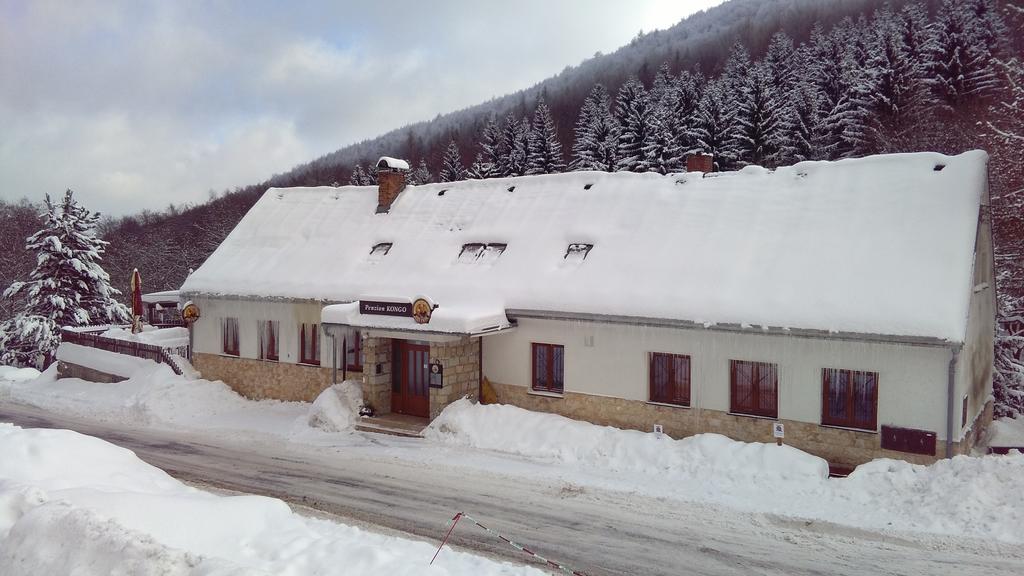 Penzion Kongo Telnice Exterior foto
